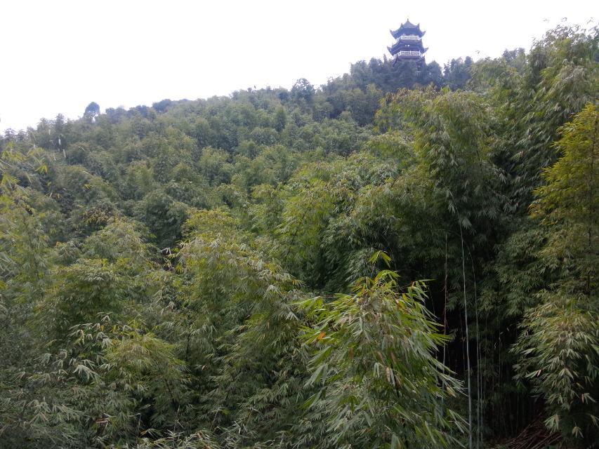 深美特仿真茅草瓦園林景區