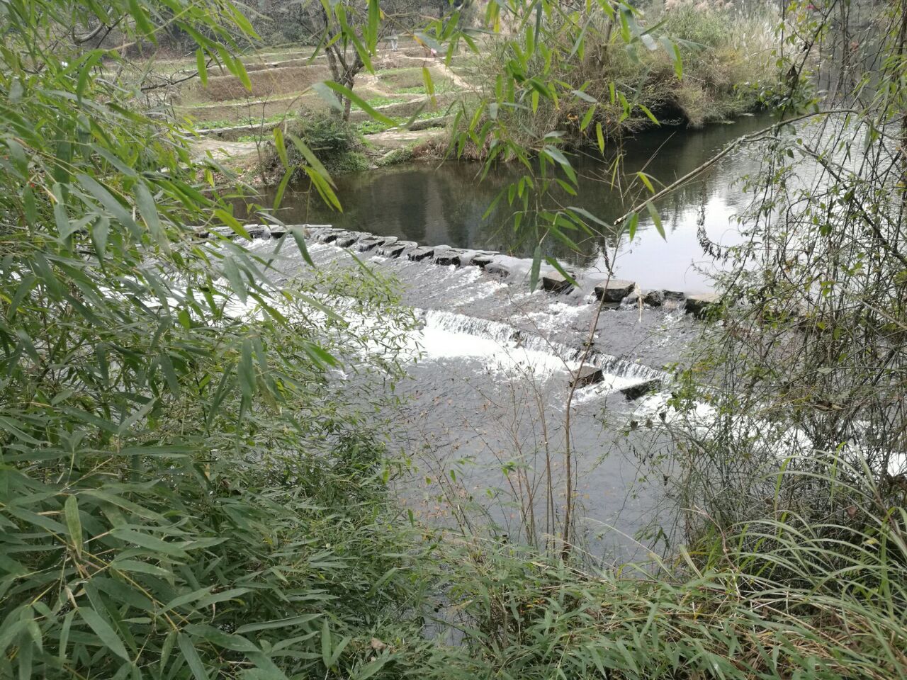 鄉村旅游農家樂